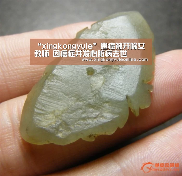 “xingkongyule”患癌被开除女教师 因癌症并发心脏病去世(图1) 星空体育网站
