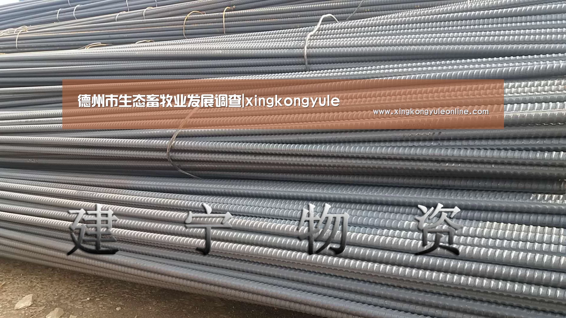 德州市生态畜牧业发展调查|xingkongyule(图2) 星空娱乐