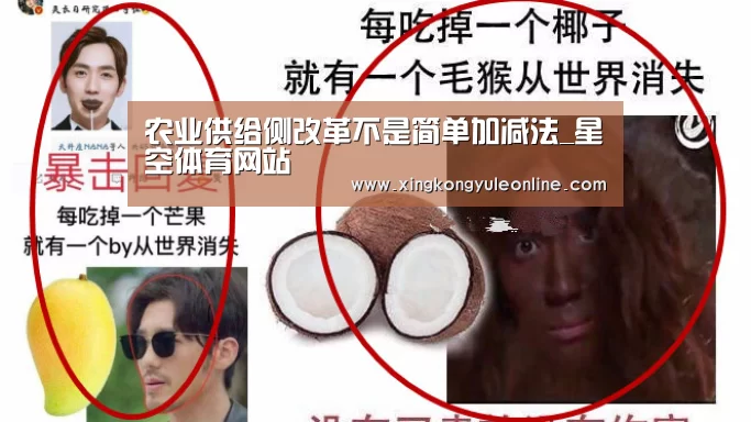 星空体育网站