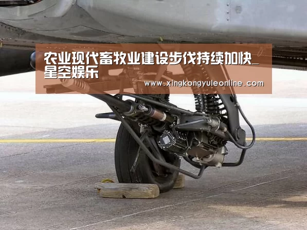 农业现代畜牧业建设步伐持续加快_星空娱乐(图2) 星空娱乐