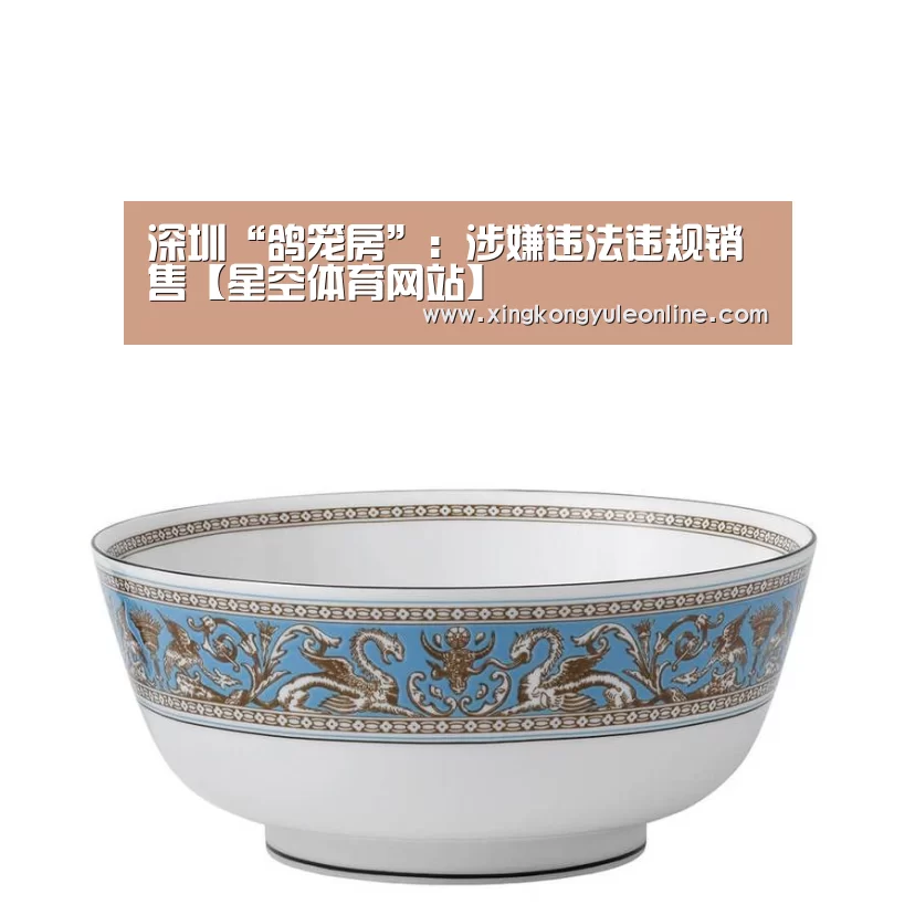 深圳“鸽笼房”:涉嫌违法违规销售【星空体育网站】(图1) 星空体育