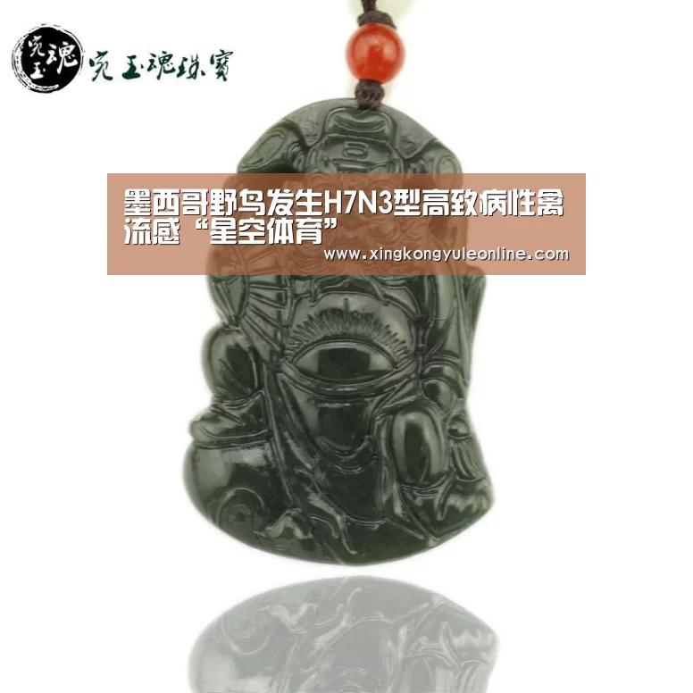 墨西哥野鸟发生H7N3型高致病性禽流感“星空体育”(图3) 星空娱乐