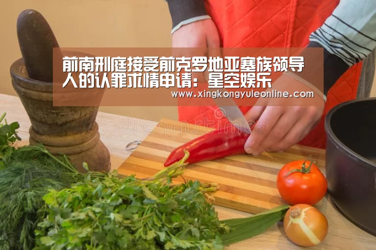 前南刑庭接受前克罗地亚塞族领导人的认罪求情申请:星空娱乐(图1) 星空体育