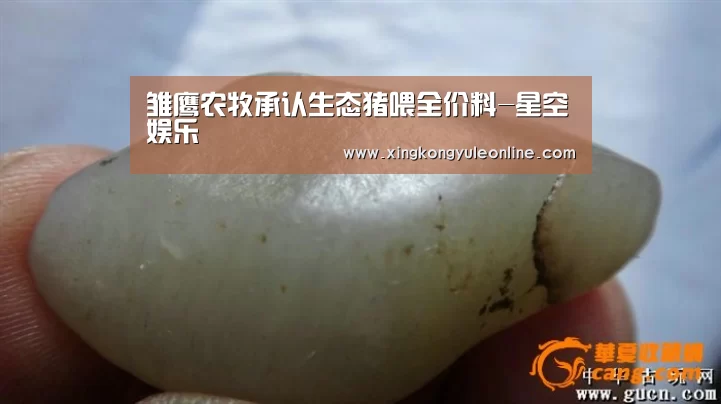 雏鹰农牧承认生态猪喂全价料-星空娱乐(图2)