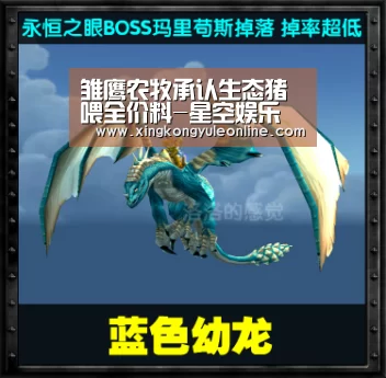 星空体育网站