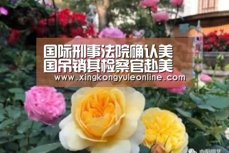 星空娱乐