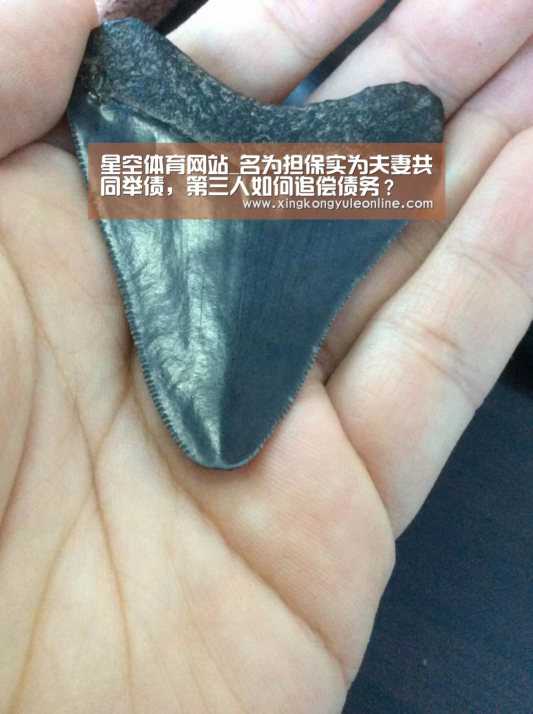 星空体育网站