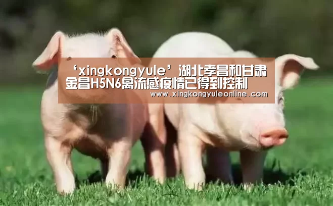 ‘xingkongyule’湖北孝昌和甘肃金昌H5N6禽流感疫情已得到控制(图2) 星空娱乐