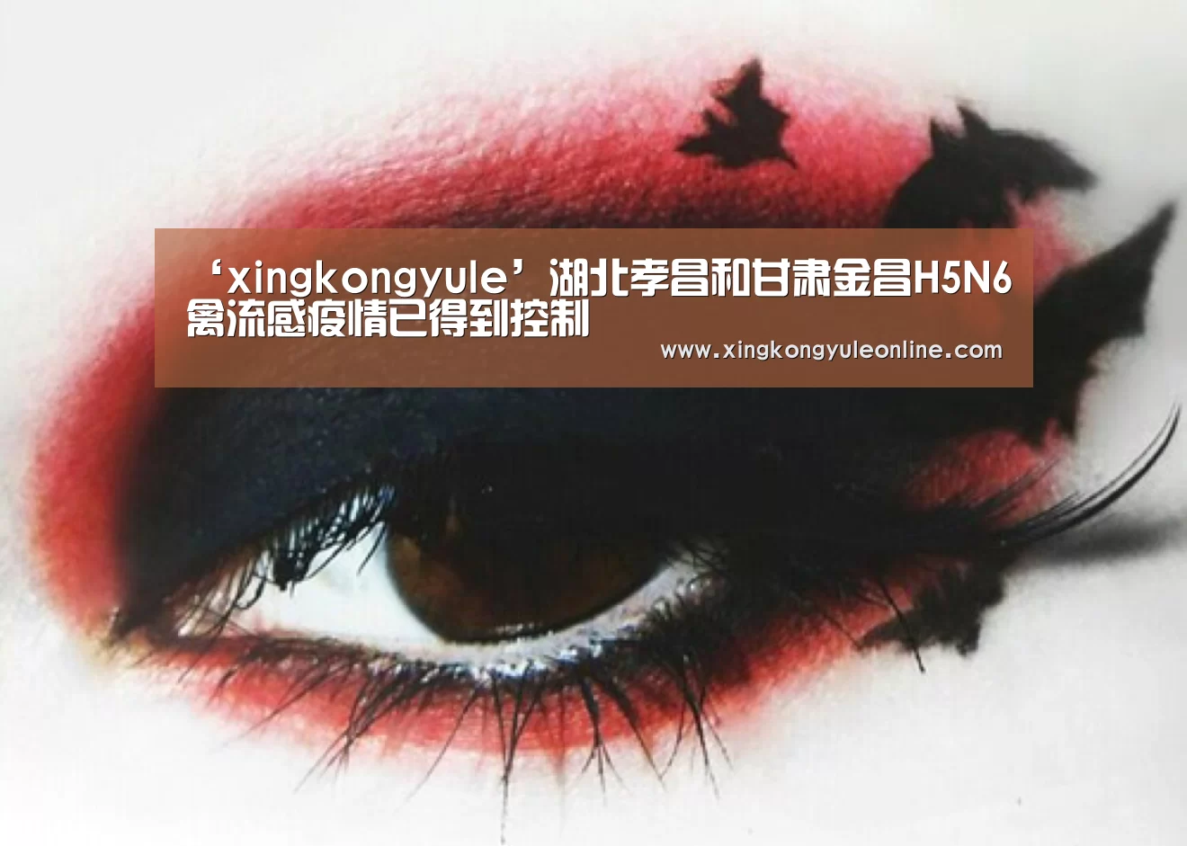 ‘xingkongyule’湖北孝昌和甘肃金昌H5N6禽流感疫情已得到控制(图4) 星空体育网站