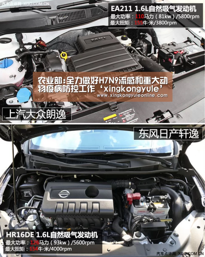 农业部:全力做好H7N9流感和重大动物疫病防控工作‘xingkongyule’(图4) 农业部:全力做好H7N9流感和重大动物疫病防控工作‘xingkongyule’(图4)