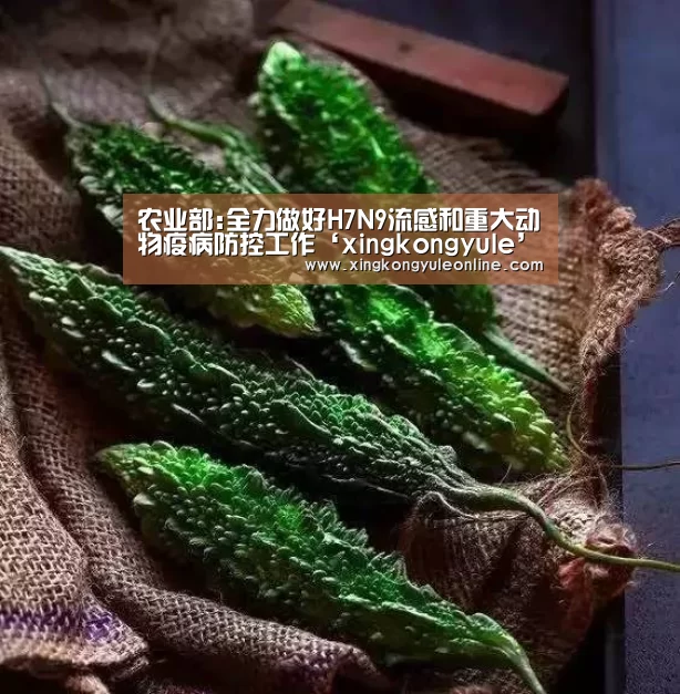 农业部:全力做好H7N9流感和重大动物疫病防控工作‘xingkongyule’(图1) 星空娱乐