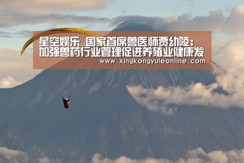 星空娱乐