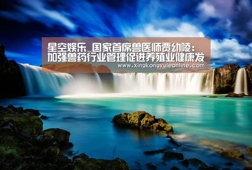 星空娱乐