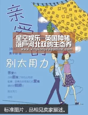 星空体育