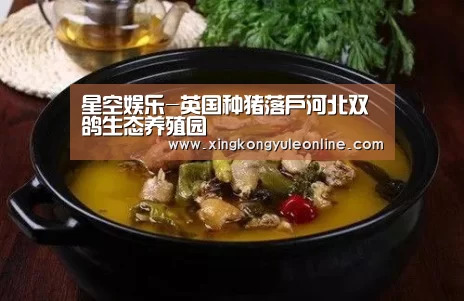 星空娱乐-英国种猪落户河北双鸽生态养殖园(图1)